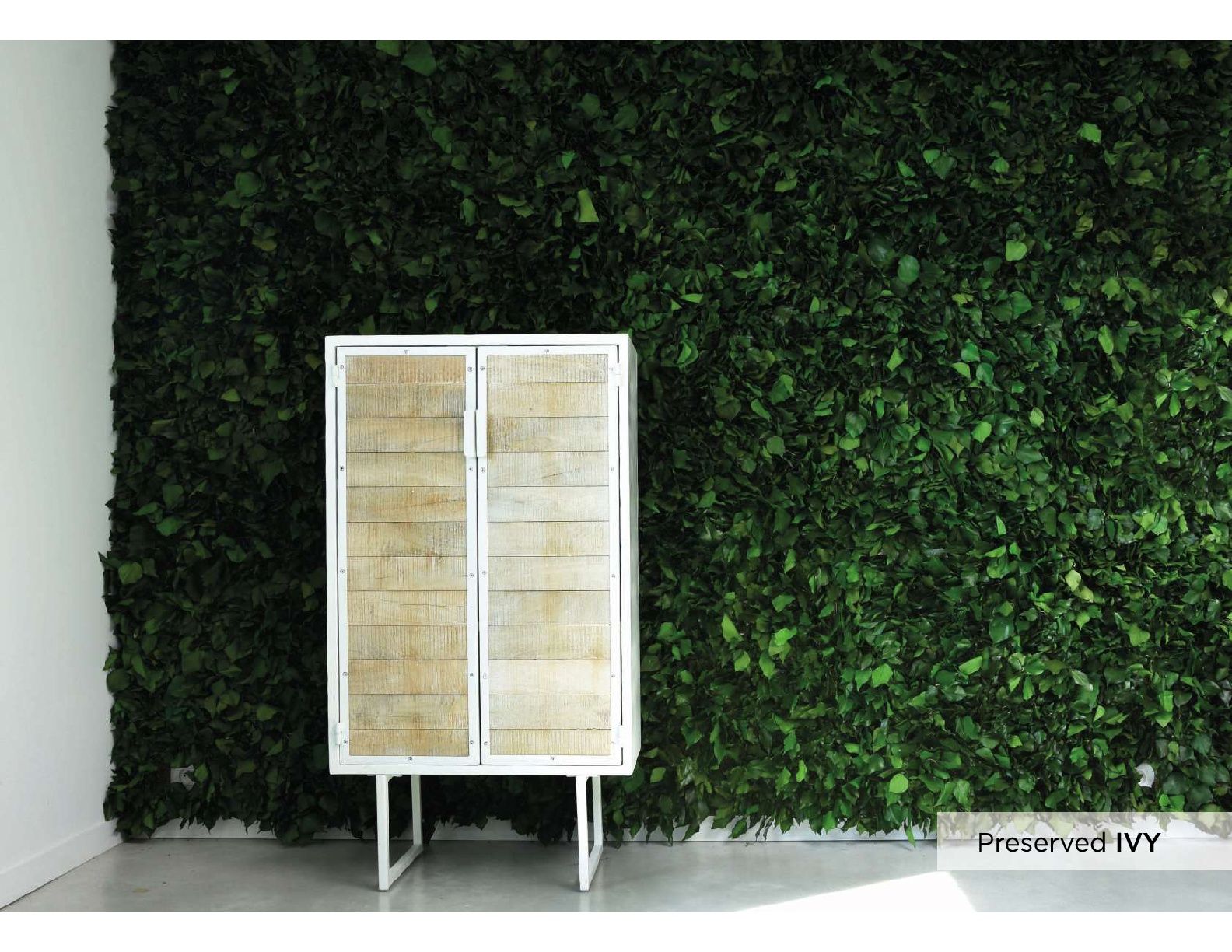 natdeco surface ivy3