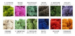natdeco surface linquen