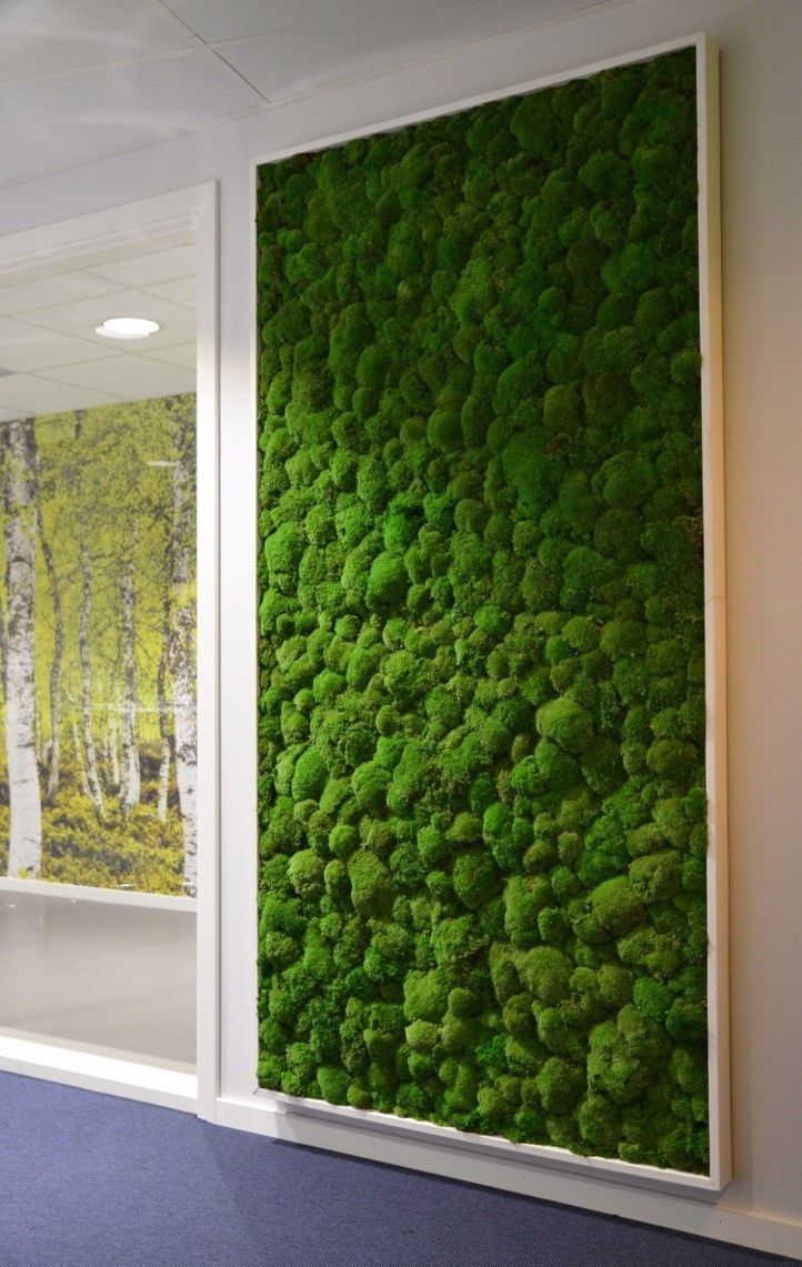 natdeco surface pole moss2