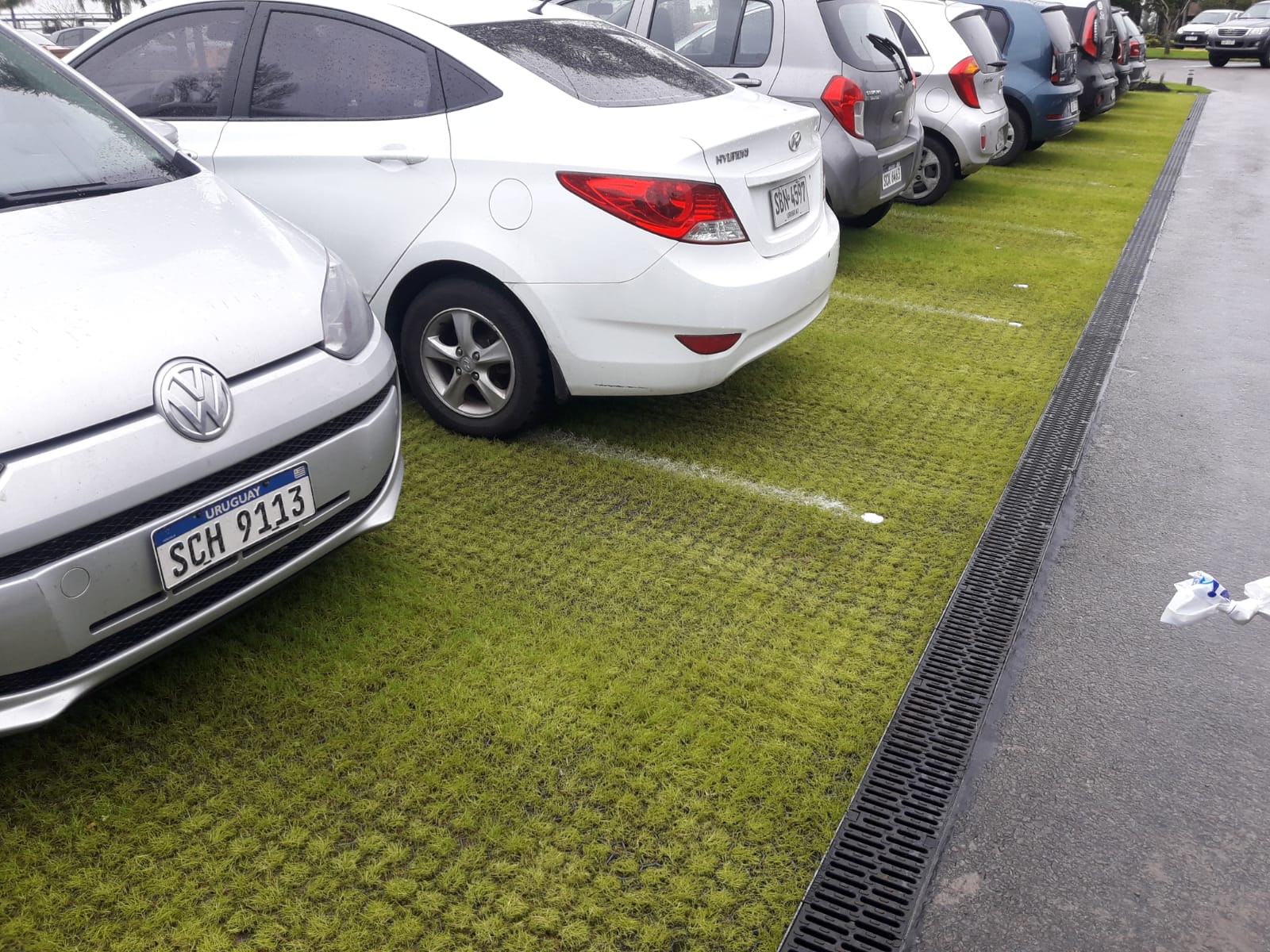 guttagarden suelo vegetado zona america