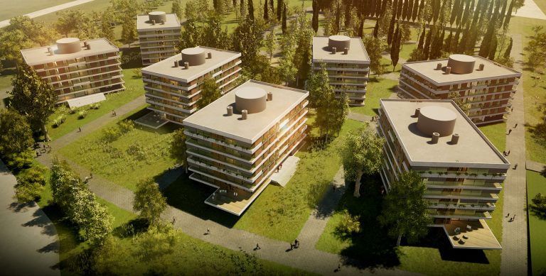proyecto alma verde destacada 768x389