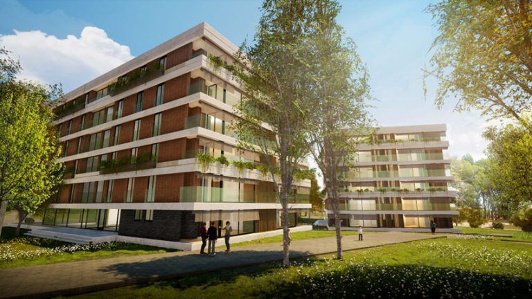 proyecto alma verde gal4 850x478 1 768x432