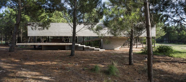 CASA SJ 001 768x338