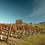 Capilla Sacromonte Landscape PR MAPA ARQUITECTOS 150x150