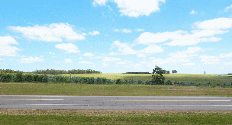 GIF01l MAPA ARQUITECTOS 768x415