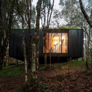 CLT (Cross-Laminated Timber)
