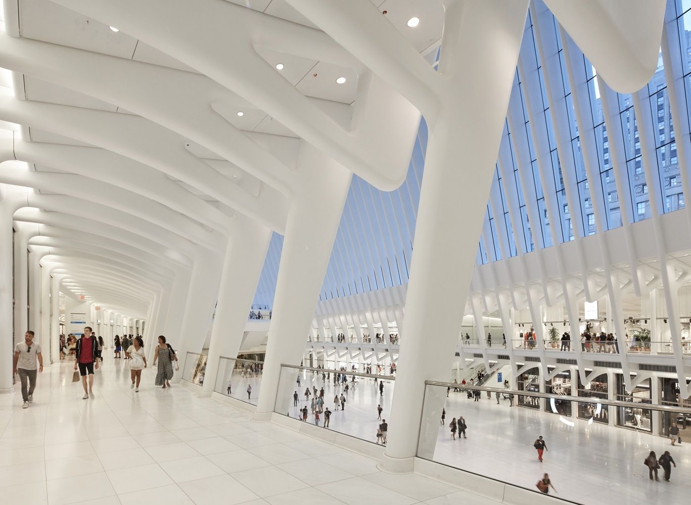 Just Crea Oculus Calatrava 011