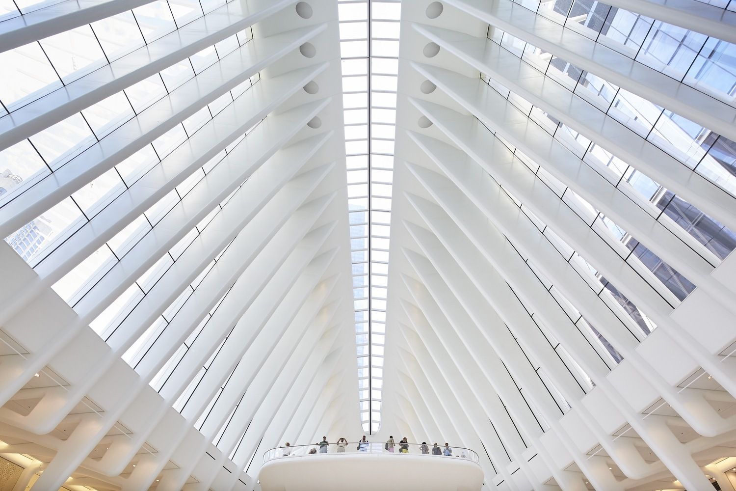Just Crea Oculus Calatrava 020
