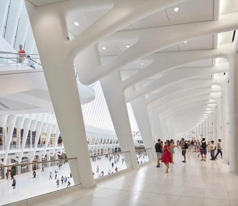 Just Crea Oculus Calatrava 024 768x664