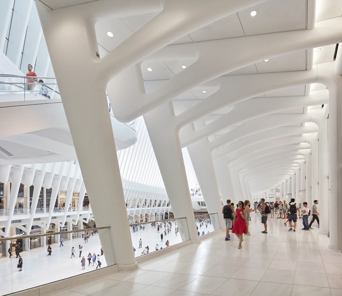 Just Crea Oculus Calatrava 024