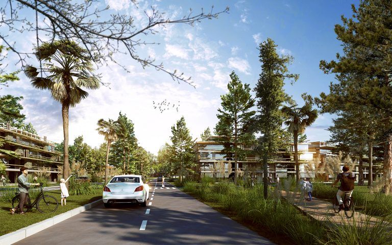 MP Colonia 11 1 768x480