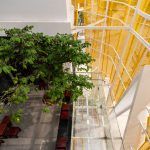 LZs LOVE spa  T architects Just Crea 007 150x150
