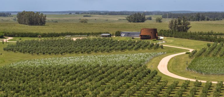 Bodega Oceanica 16 768x334