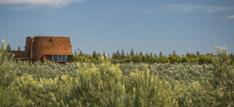 Bodega Oceanica 768x351