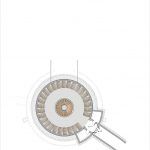Planta Cava 150x150