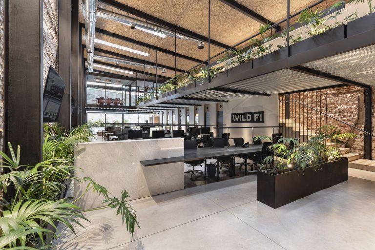 oficinas wild fi timb arquitectura 10 768x512