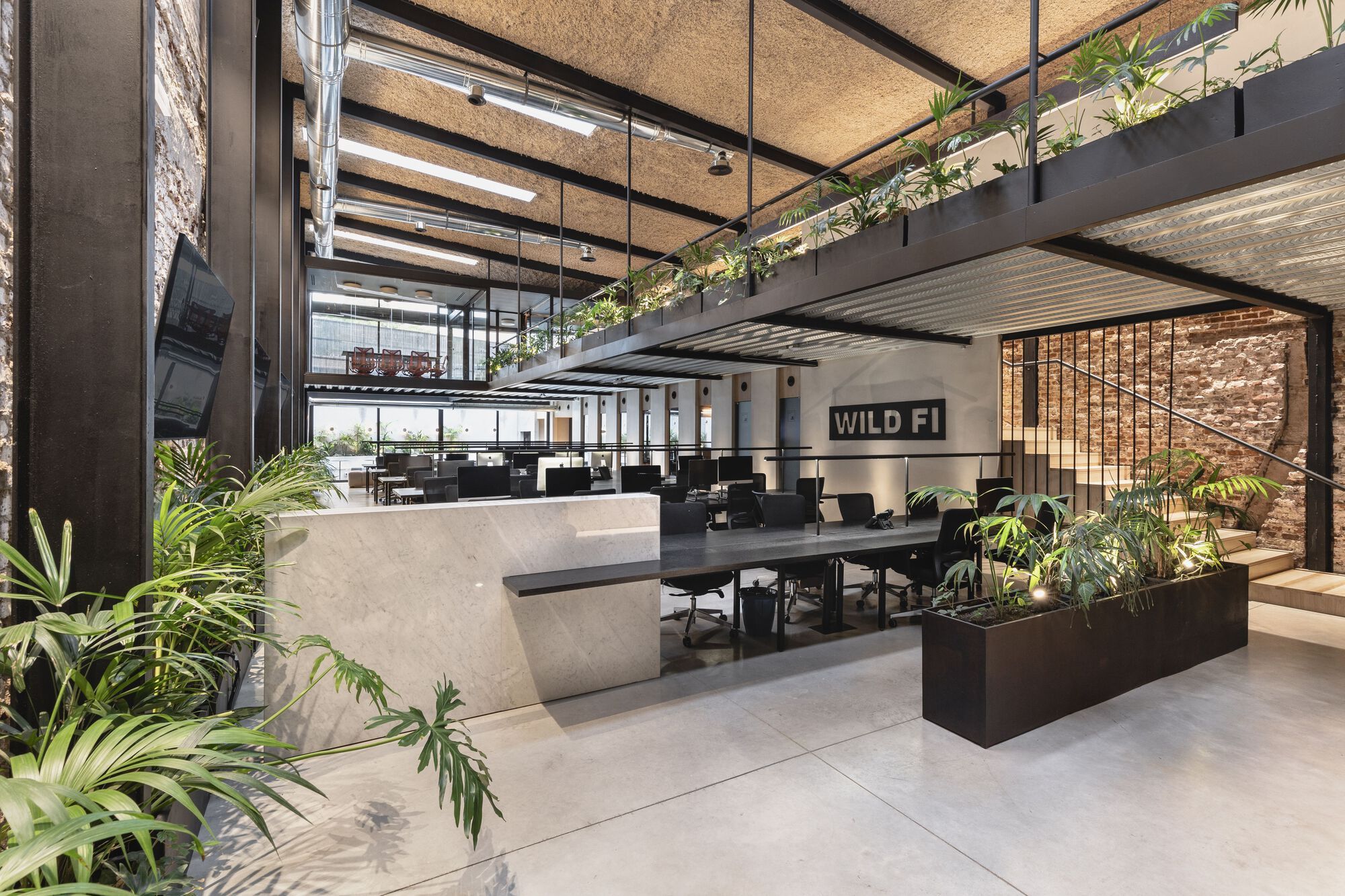 oficinas wild fi timb arquitectura 10