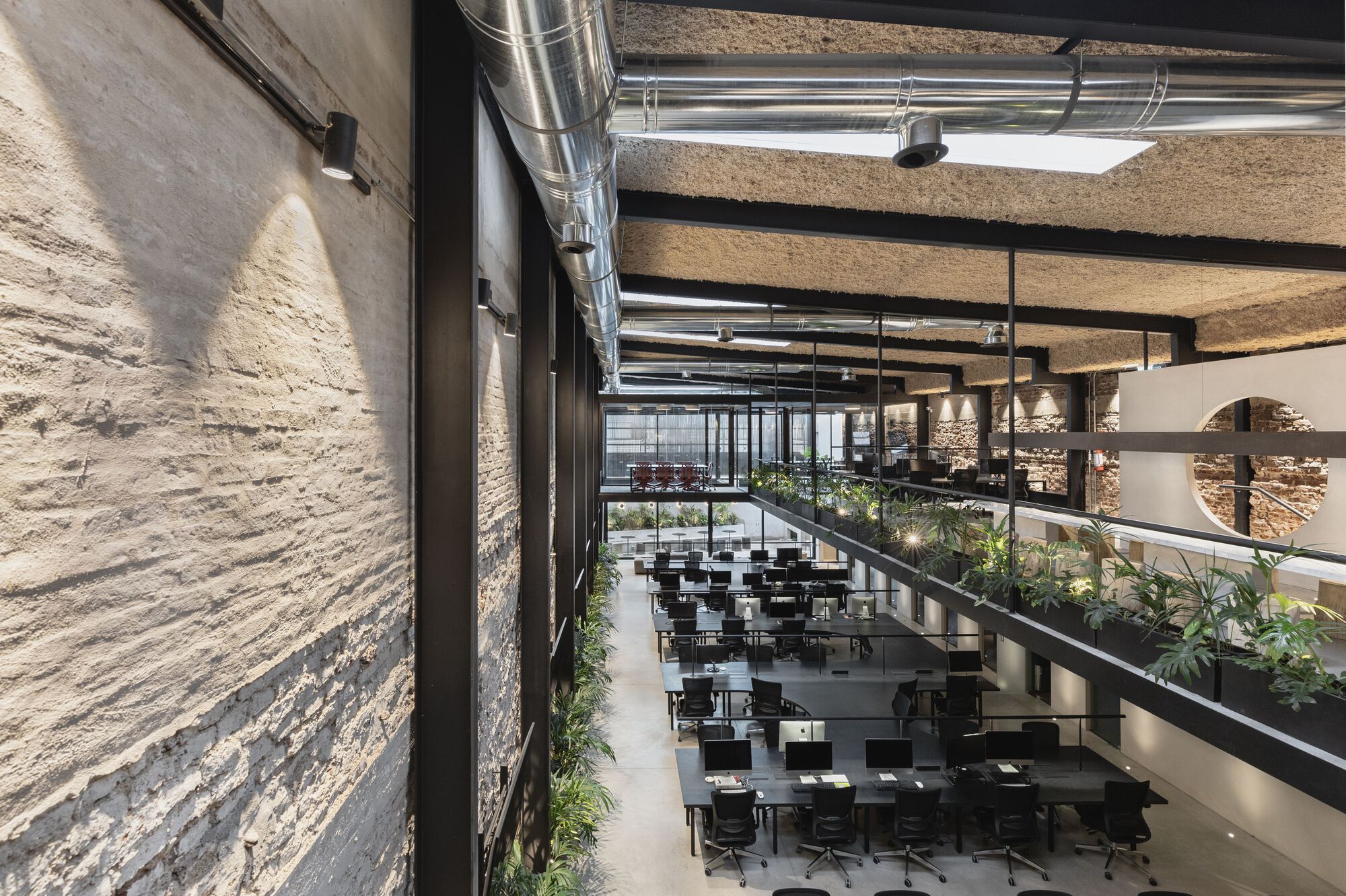 oficinas wild fi timb arquitectura 4