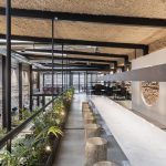 oficinas wild fi timb arquitectura 5 150x150
