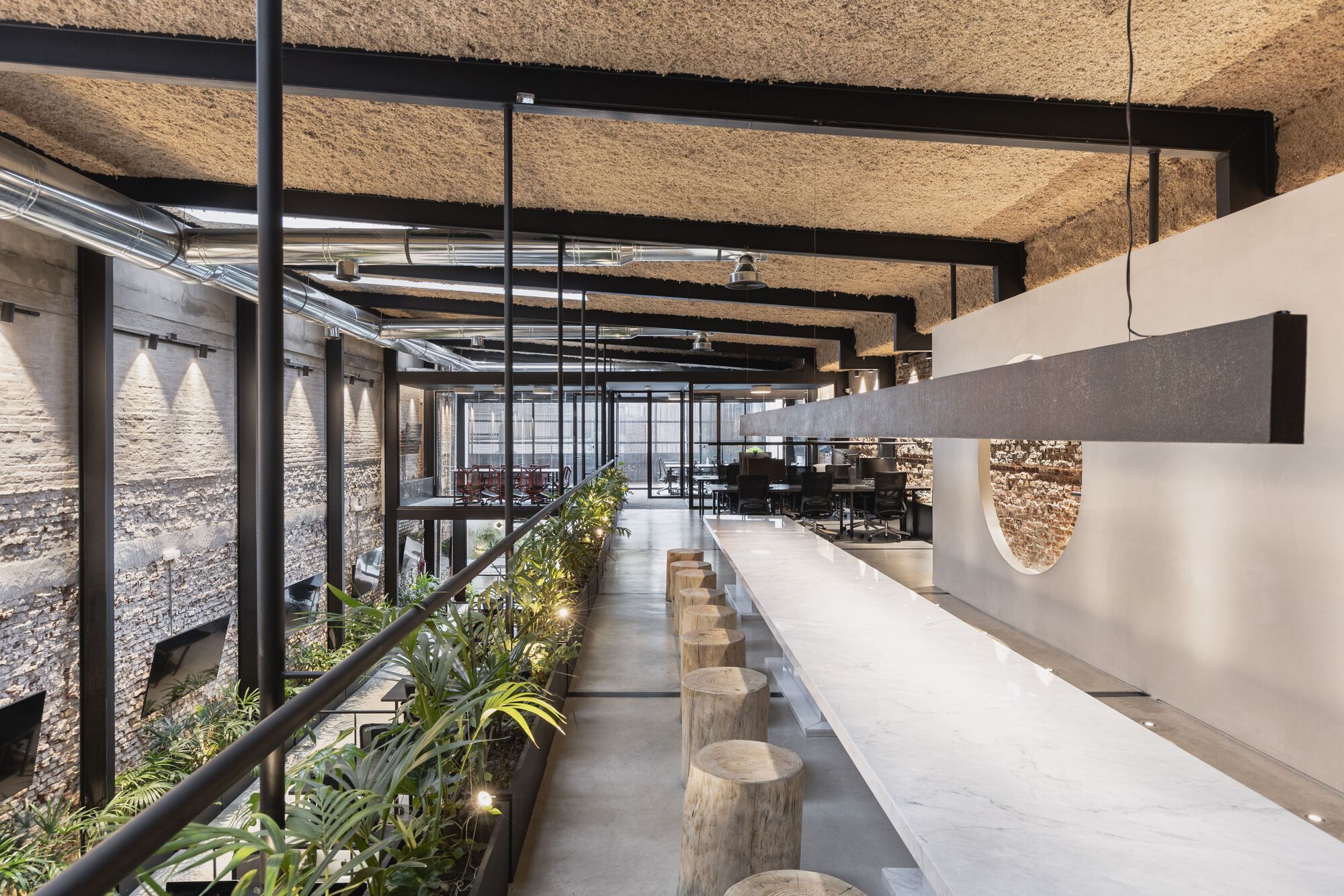 oficinas wild fi timb arquitectura 5