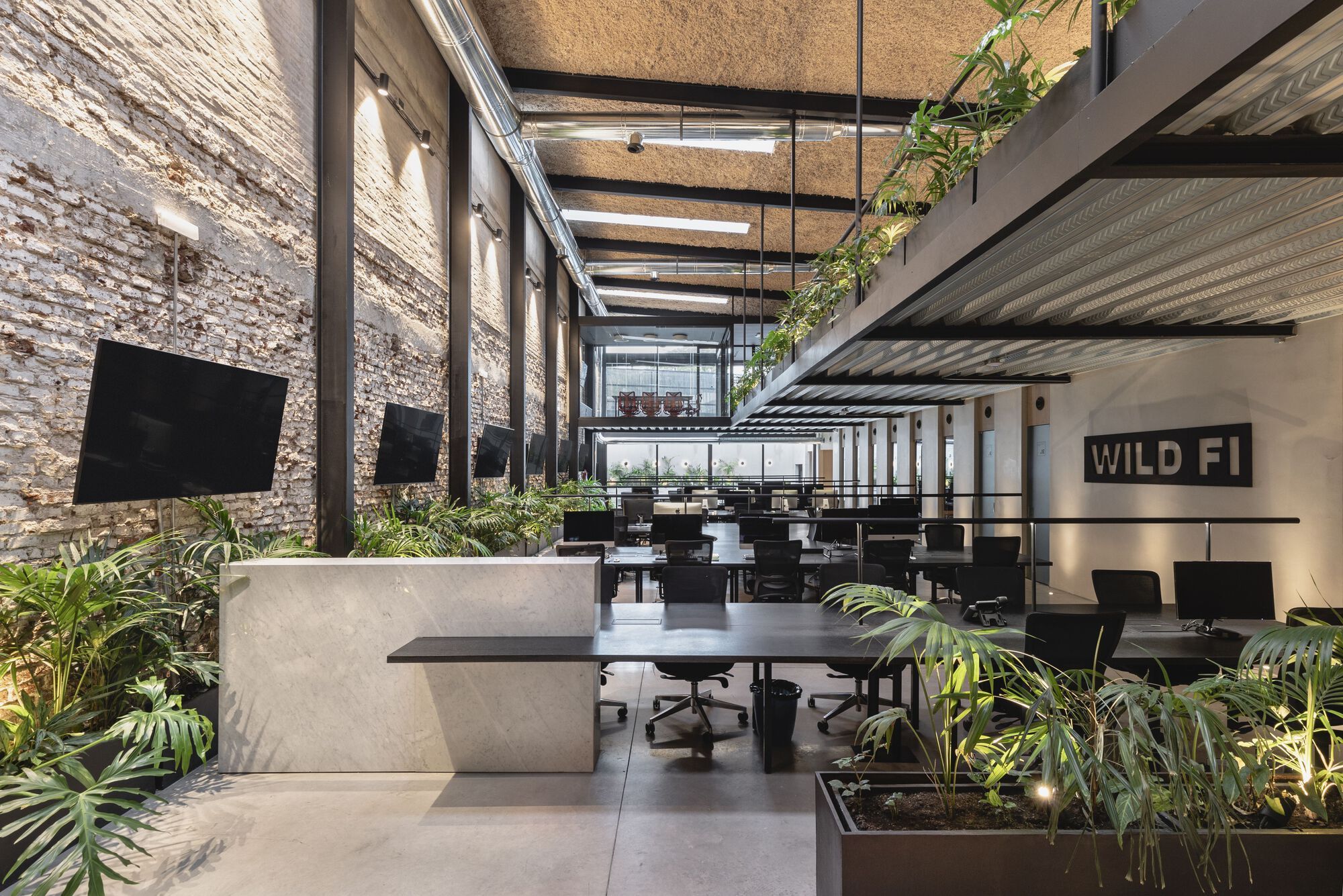 oficinas wild fi timb arquitectura 9