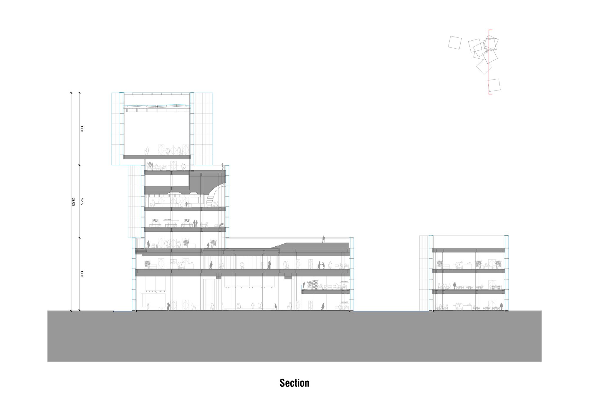 section