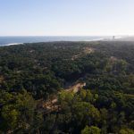 003 javier agustin rojas mapa montoya DJI 085352 high MAPA ARQUITECTOS 1 1 150x150