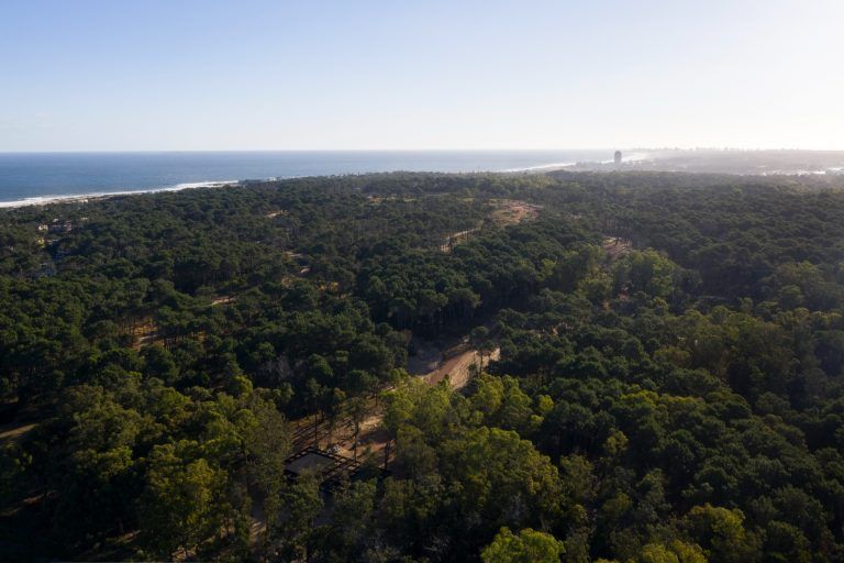 003 javier agustin rojas mapa montoya DJI 085352 high MAPA ARQUITECTOS 1 1 768x512
