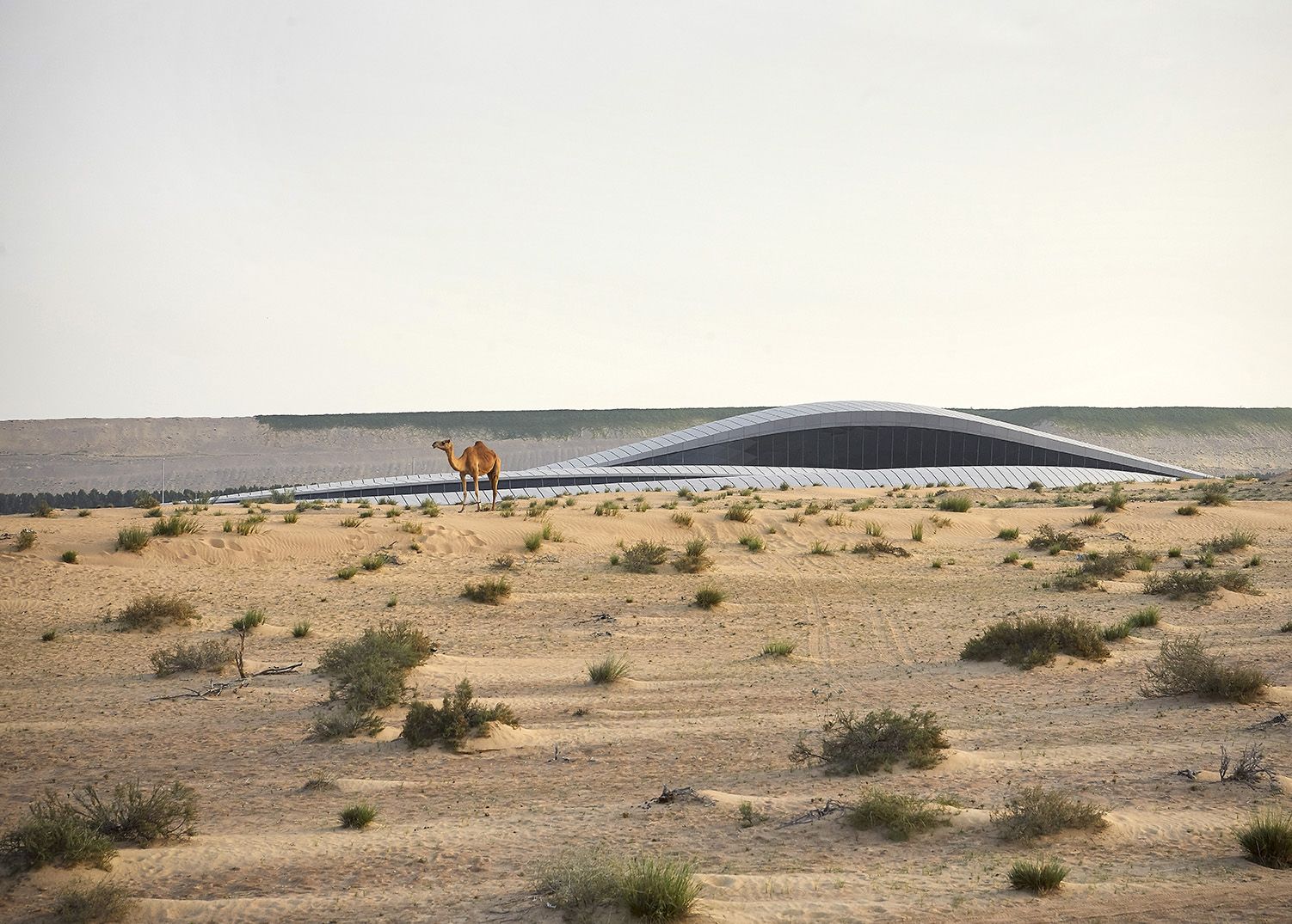 01 ZHA BEEAH HQ Sharjah UAE ©HuftonCrow lowres