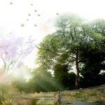 conoce los ganadores del concurso para el espacio conmemorativo a las victimas de covid 19 en buenos aires 121 2 150x150