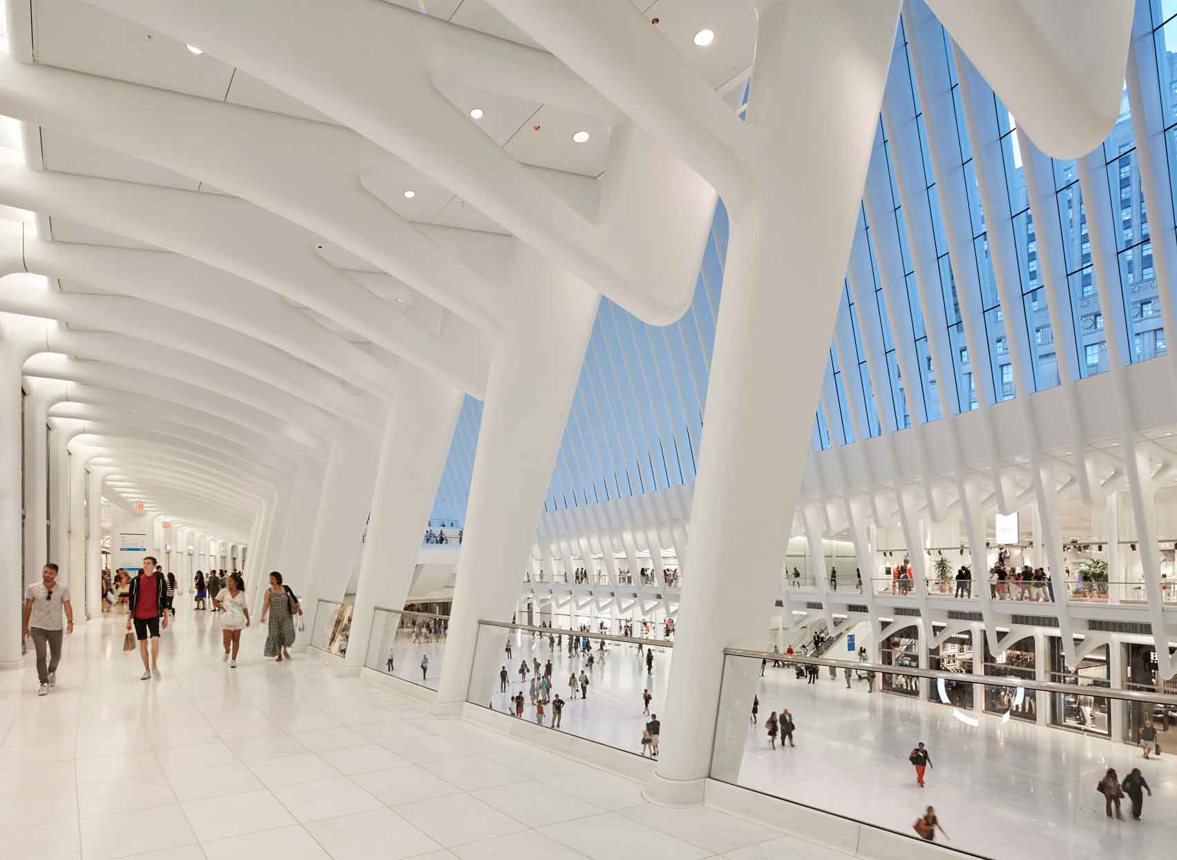 Oculus 14