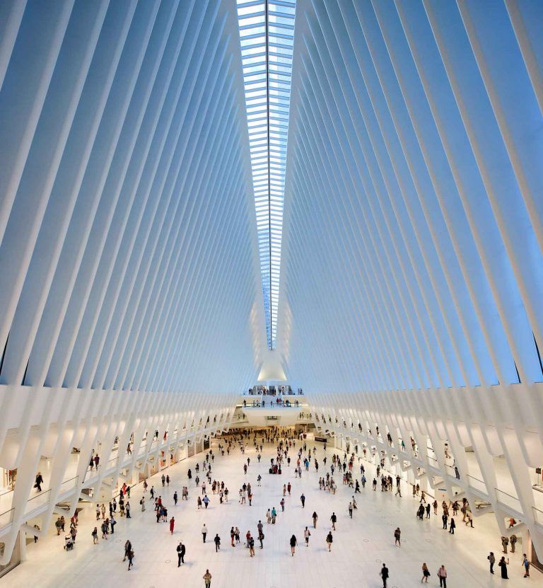 Oculus 15 768x831