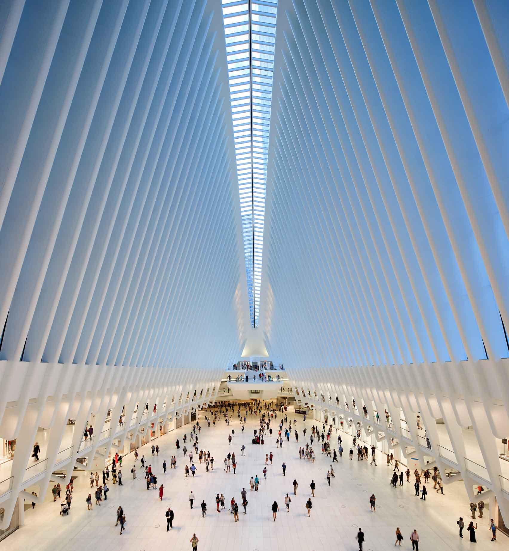 Oculus 15