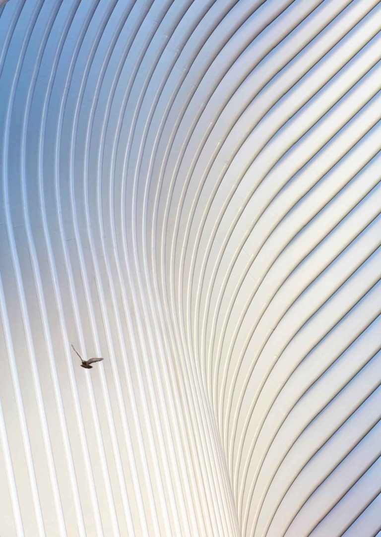 Oculus 5 768x1083