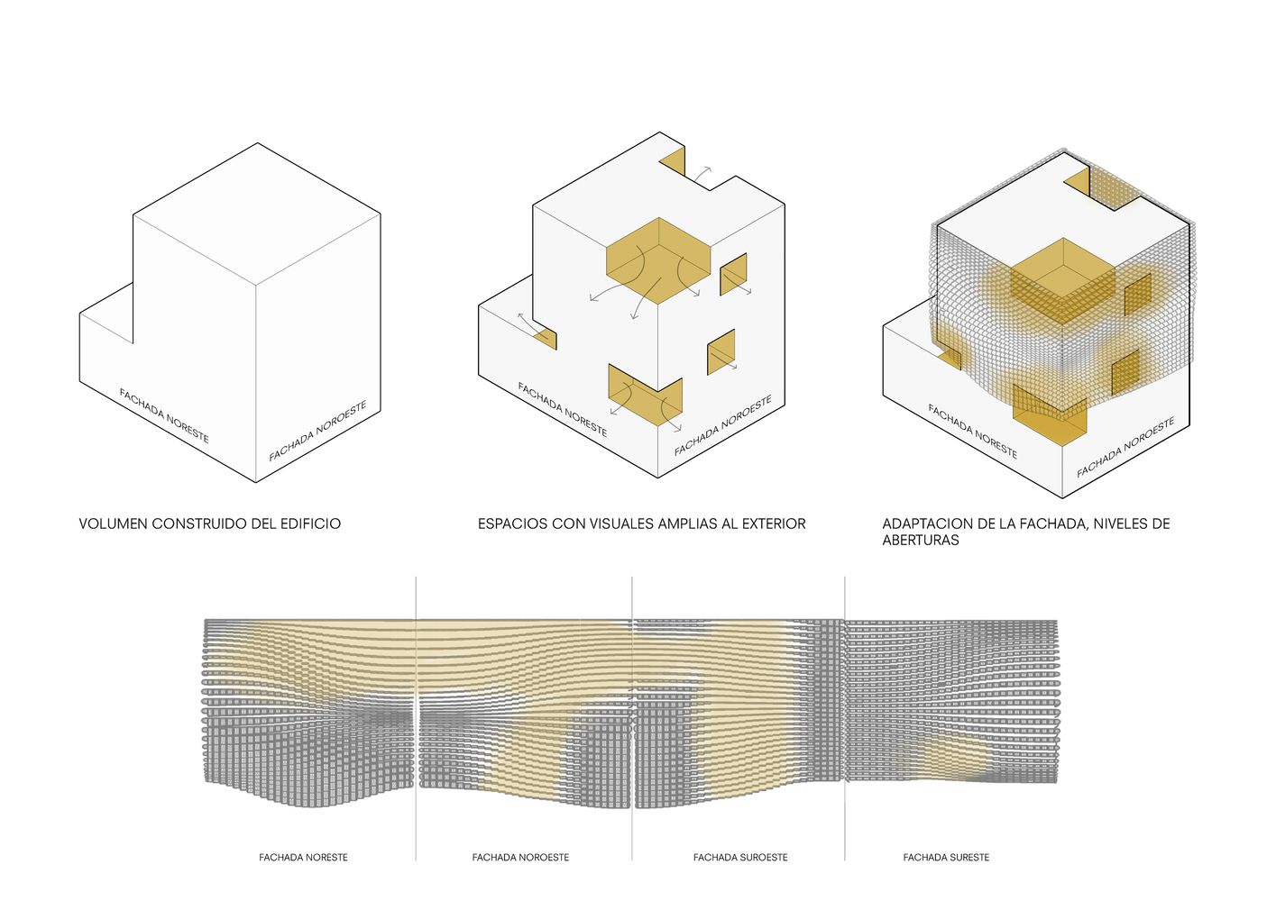 01. VISUALES PIEL 1