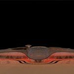 21 droneport gas architectures uae 150x150