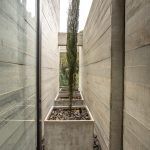 casa campos pace arquitetura 7 150x150