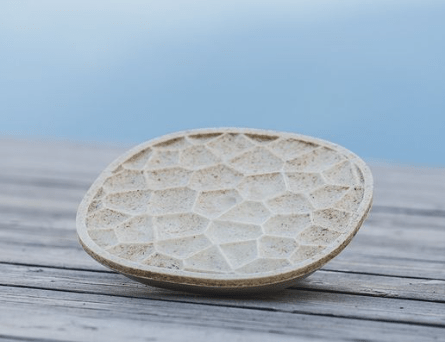 Cemento comestible: material innovador que usa los residuos alimentarios en la construcción civil