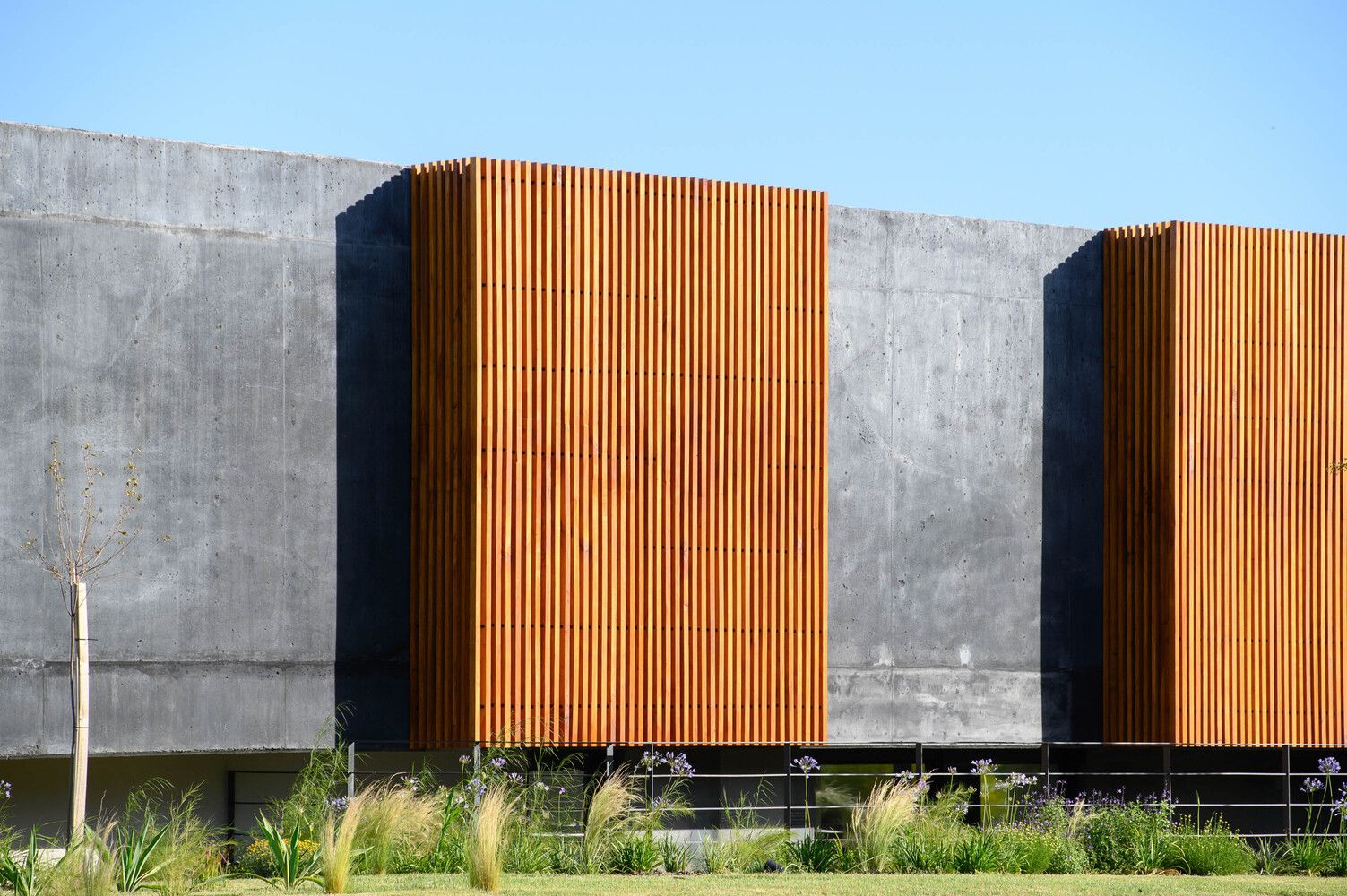casa negra ar arquitectos 9