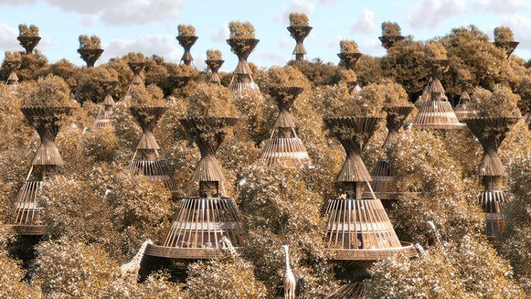 the worlds first eco tourism based baobab luxury safari resort in africa which produces its own water autonomously by using air to water technology energy powered by a transparen 1 63c80d5e3c10d 768x432