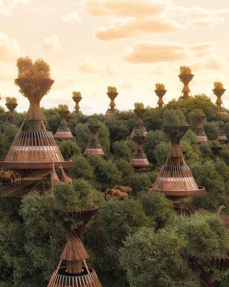 the worlds first eco tourism based baobab luxury safari resort in africa which produces its own water autonomously by using air to water technology energy powered by a transparen 2 63c80d5e3c1a0 768x960