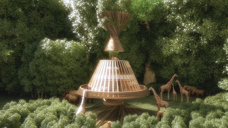 the worlds first eco tourism based baobab luxury safari resort in africa which produces its own water autonomously by using air to water technology energy powered by a transparen 8 63c80d5e3c2e7 768x432