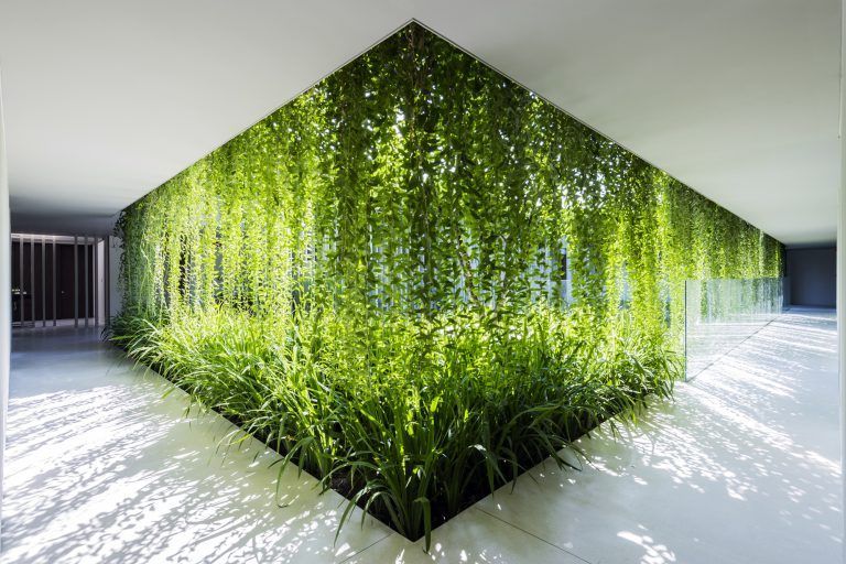 diseno biofilico 2 1 768x512