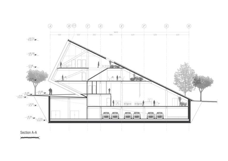 section a a 768x543