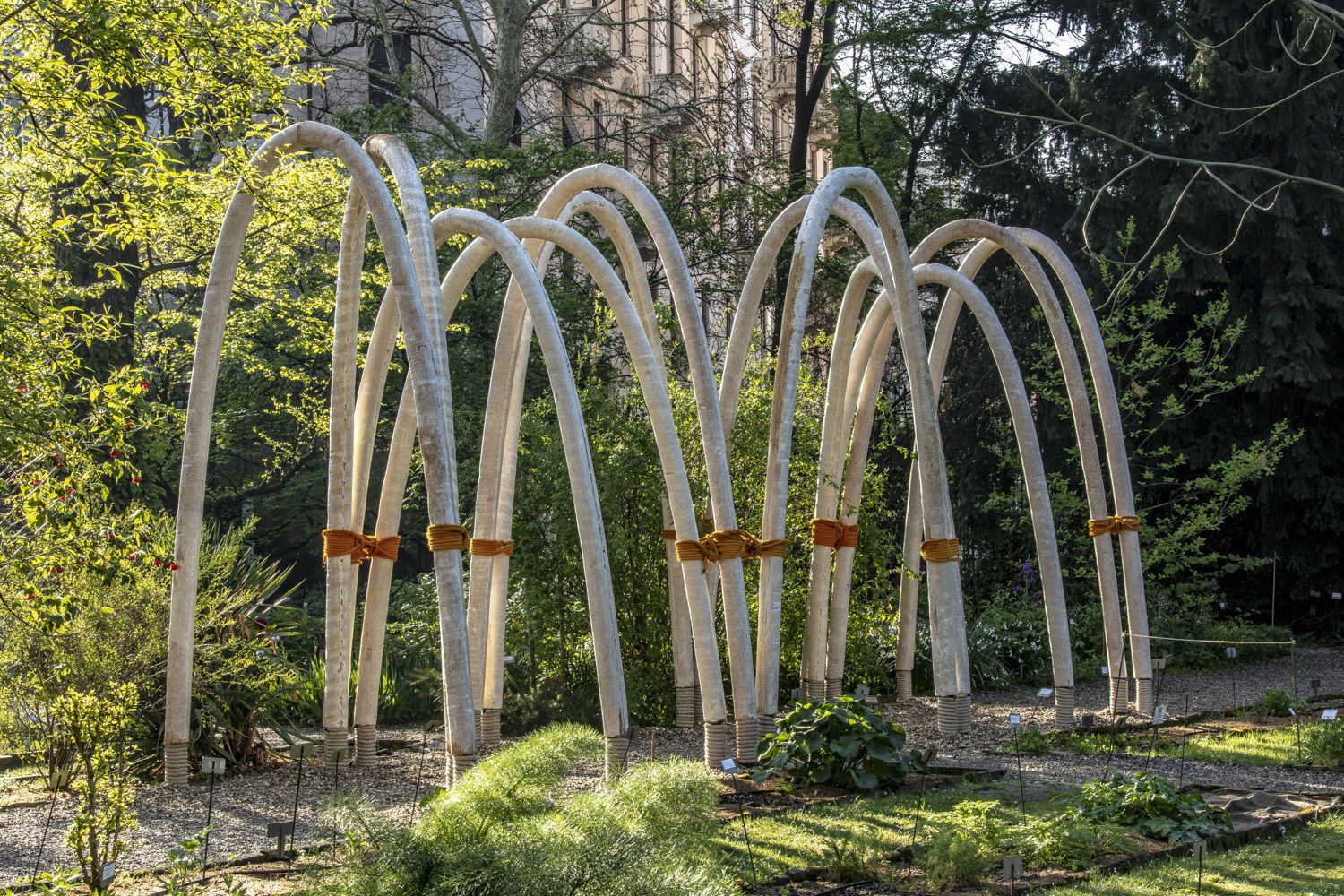 edificios de hongos 4