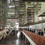 Biblioteca Vasconcelos 03 150x150