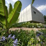 Biblioteca Vasconcelos 10 150x150