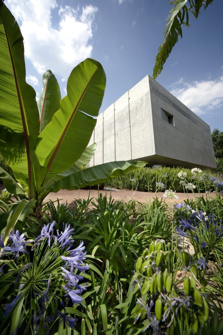 Biblioteca Vasconcelos 10 768x1152