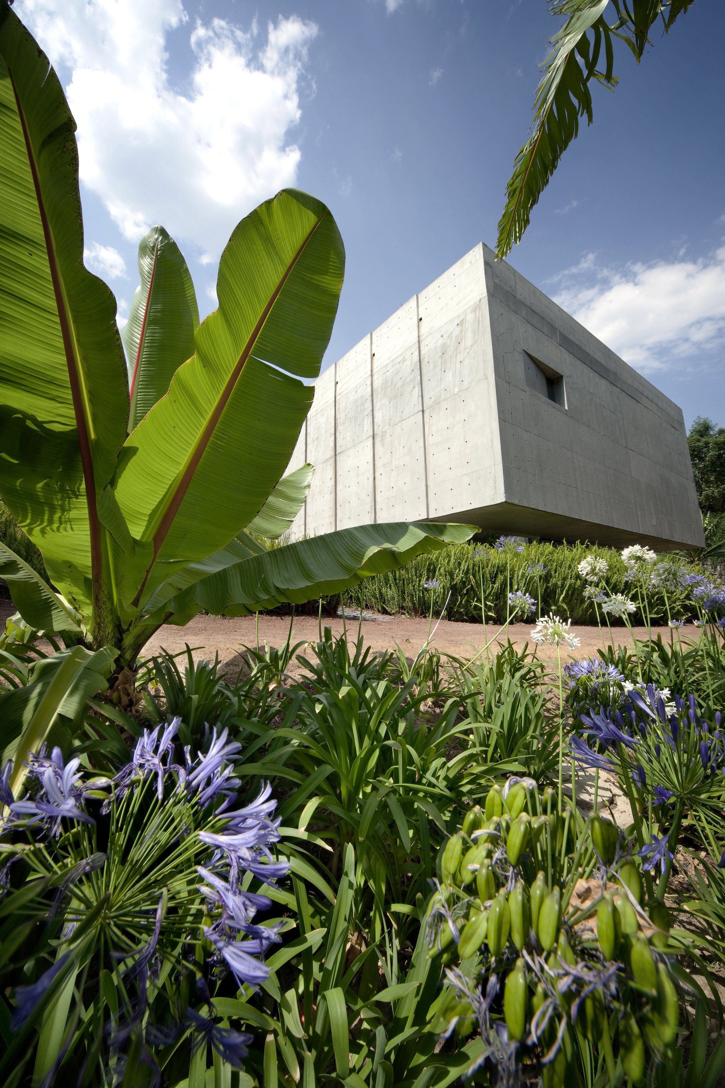 Biblioteca Vasconcelos  10