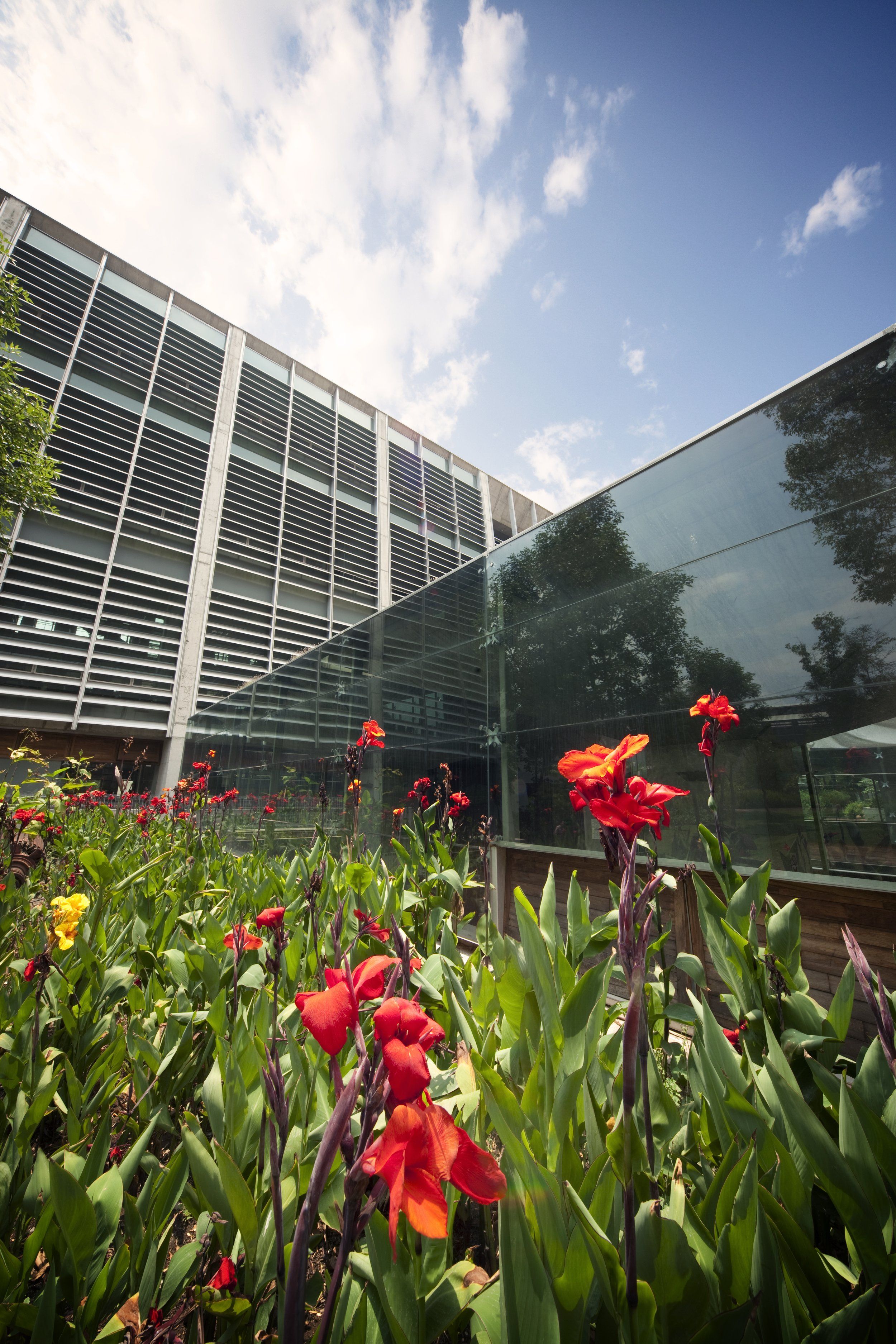 Biblioteca Vasconcelos  11